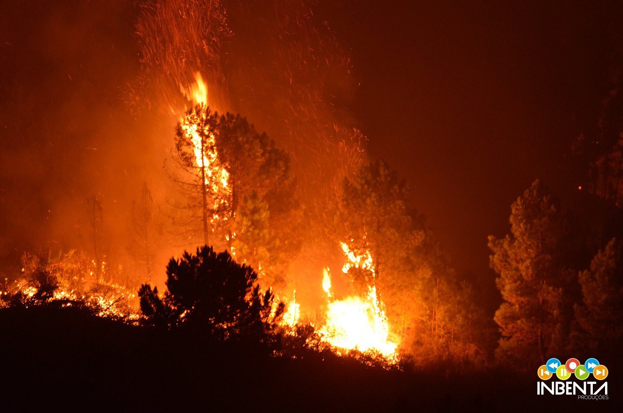 Detido em flagrante delito por incêndio florestal 