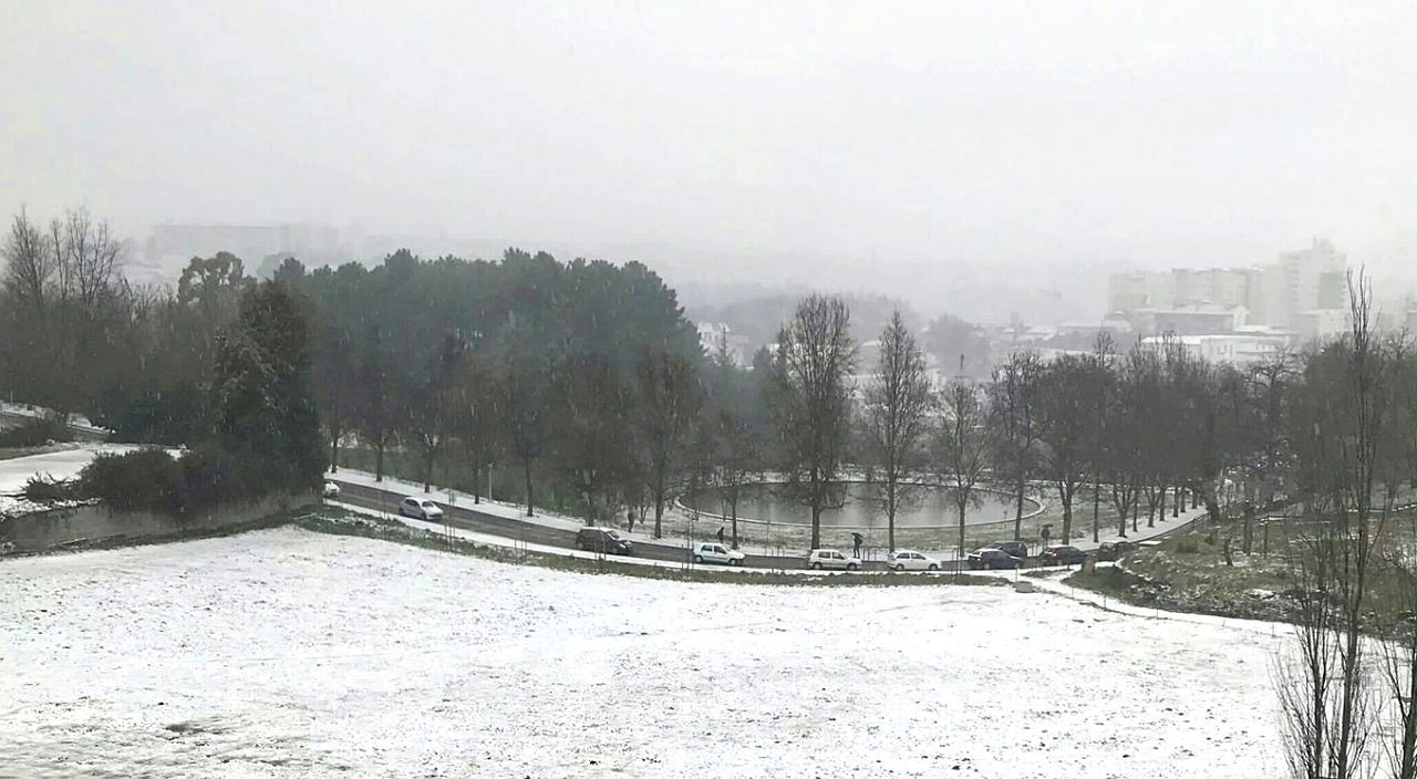 Em Vila Real alunos sem aulas e vias afetadas pela neve e queda de árvores
