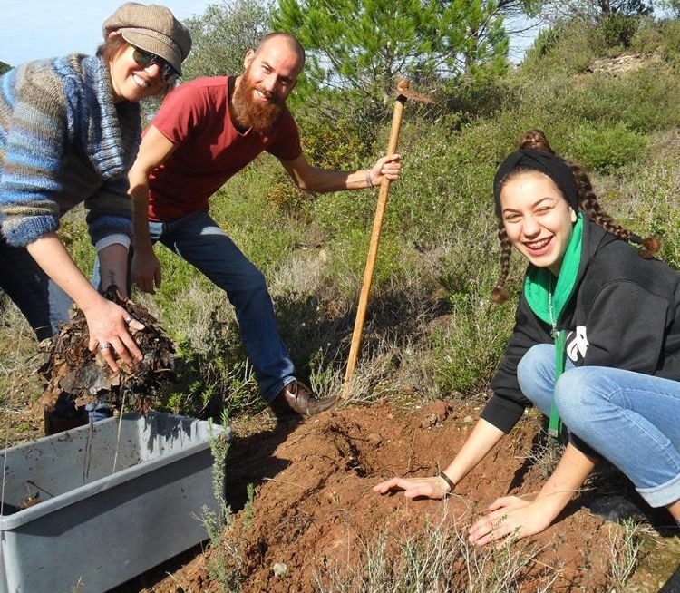Jovens voluntários europeus plantam 5.000 árvores no Douro Internacional