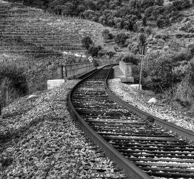 Pastor atropelado mortalmente por comboio na linha do Douro