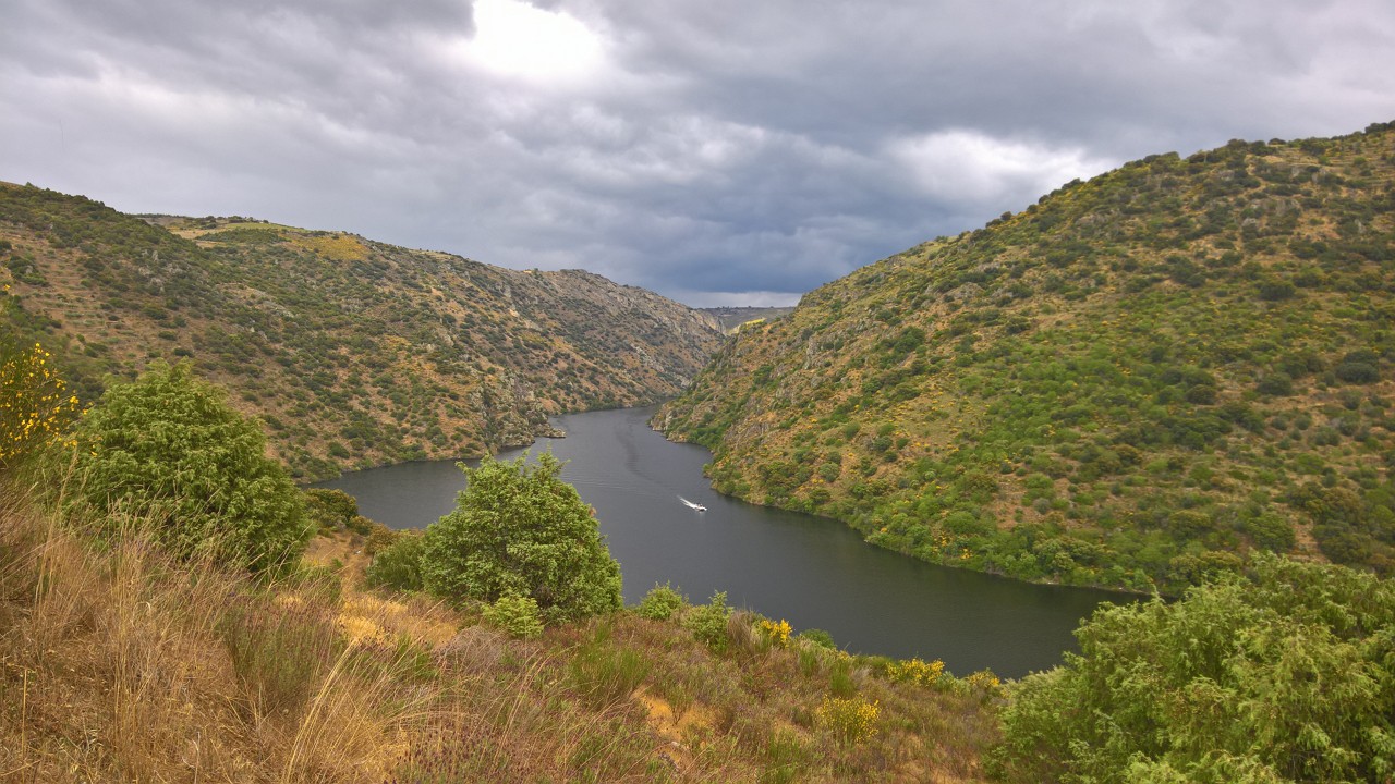 Parque do Douro com cerca de 900 mil euros para projetos