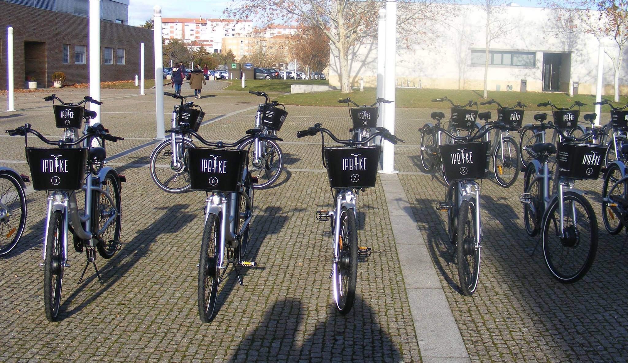 Politécnico de Bragança quer pôr a academia a pedalar com bicicletas elétricas