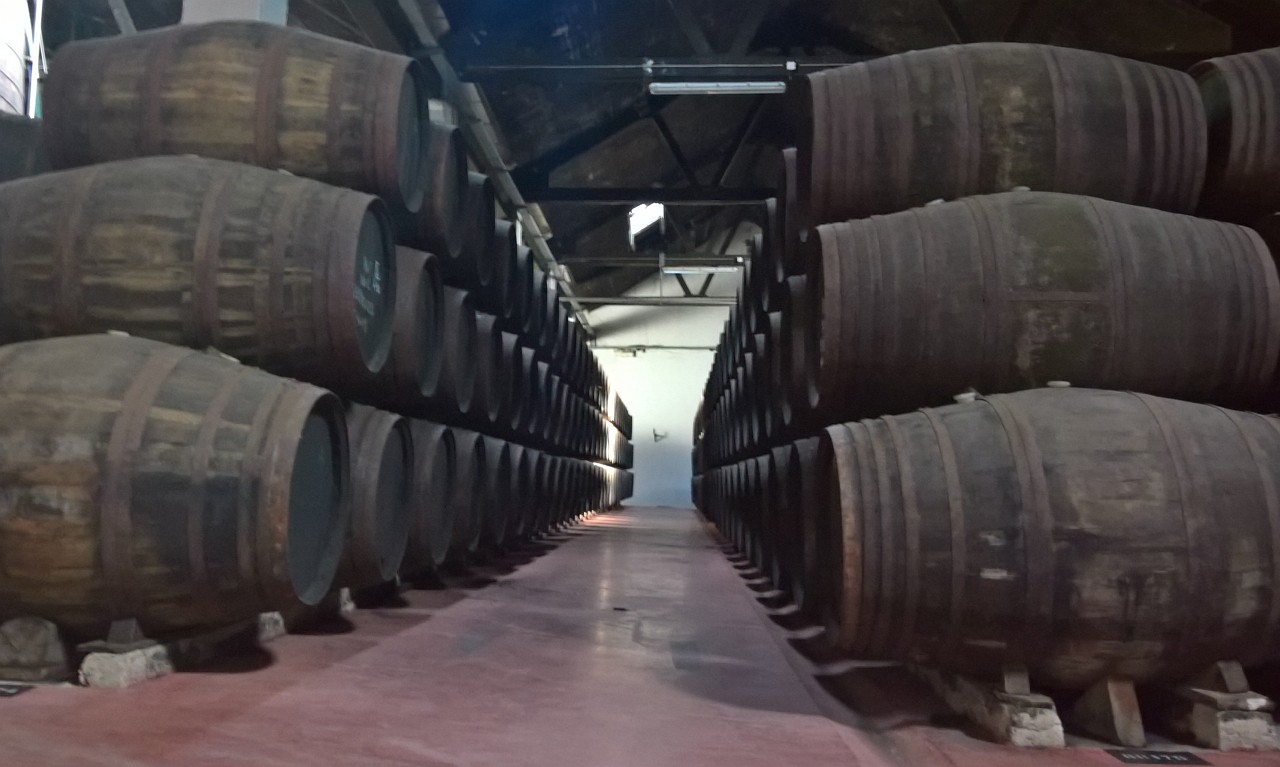 Colheita no Douro em 2017 foi de 255.557 pipas de vinho