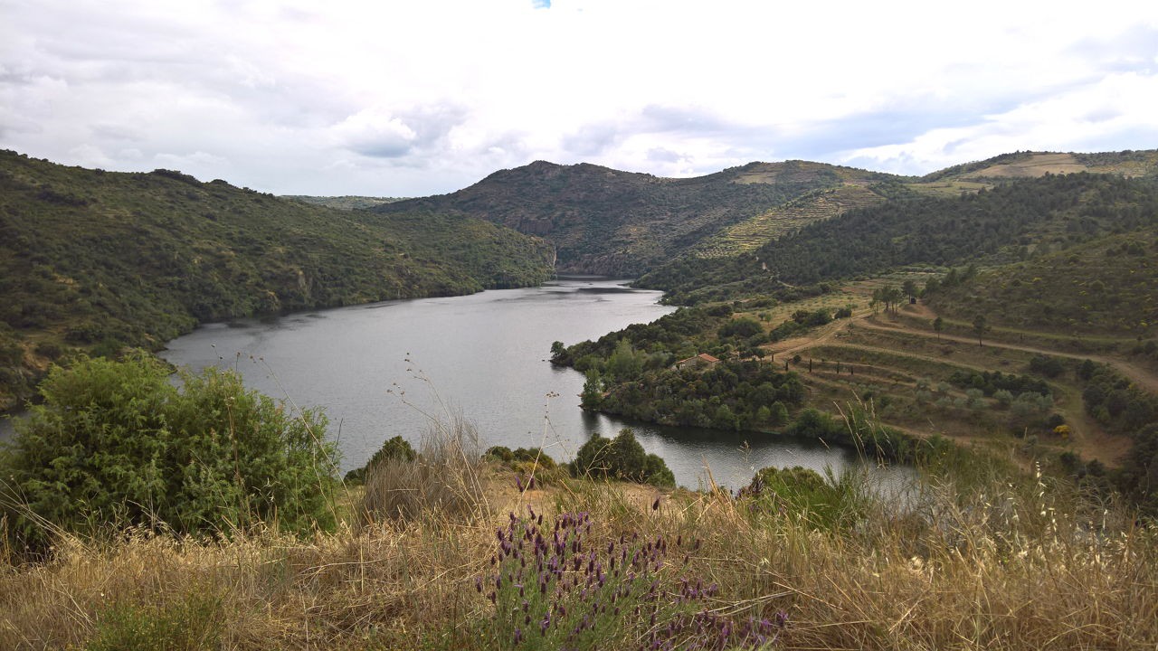 Espanhóis despejam para o Douro esgotos sem "tratamento"