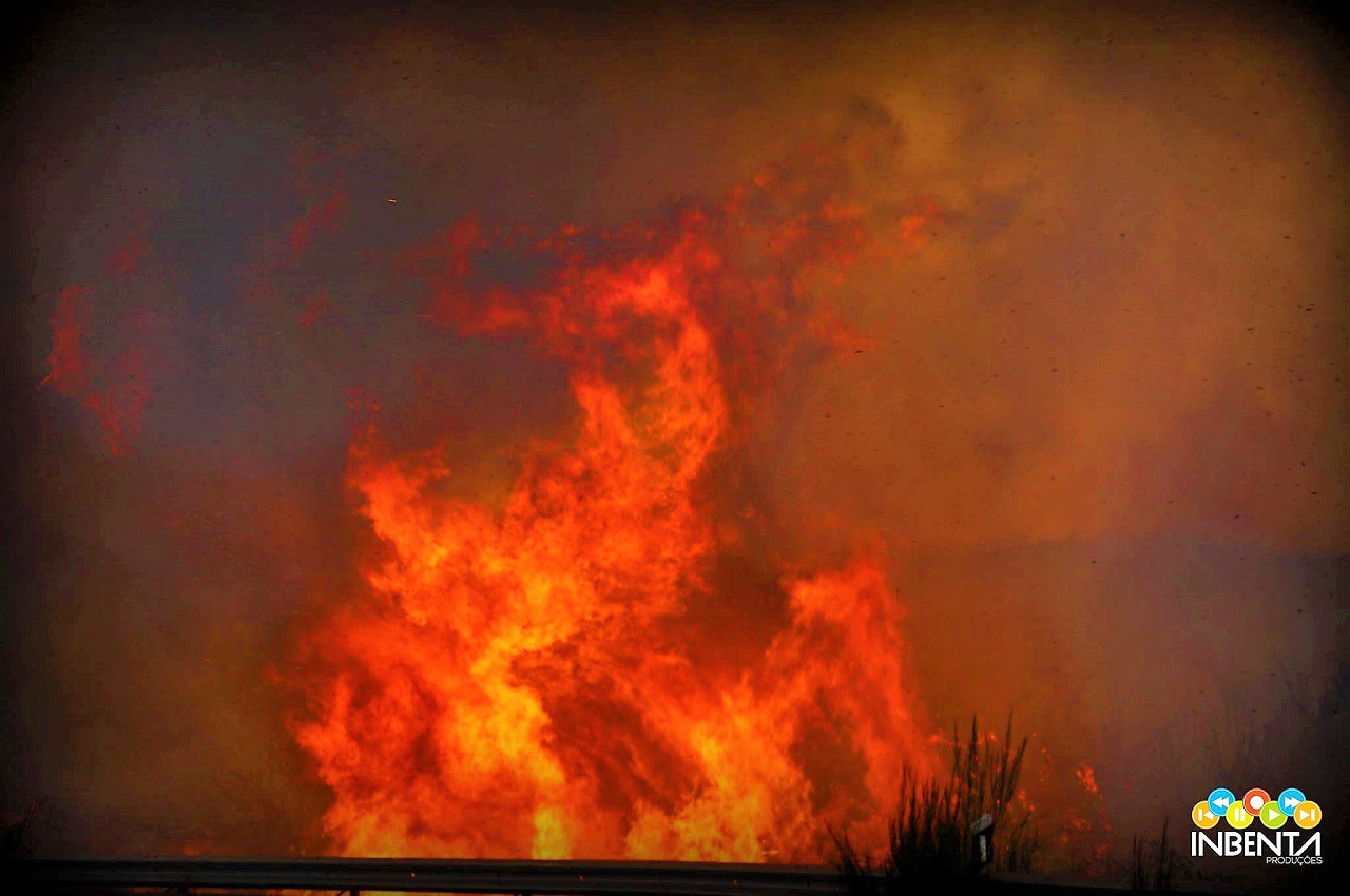 Dois detidos em flagrante delito por incêndio florestal 