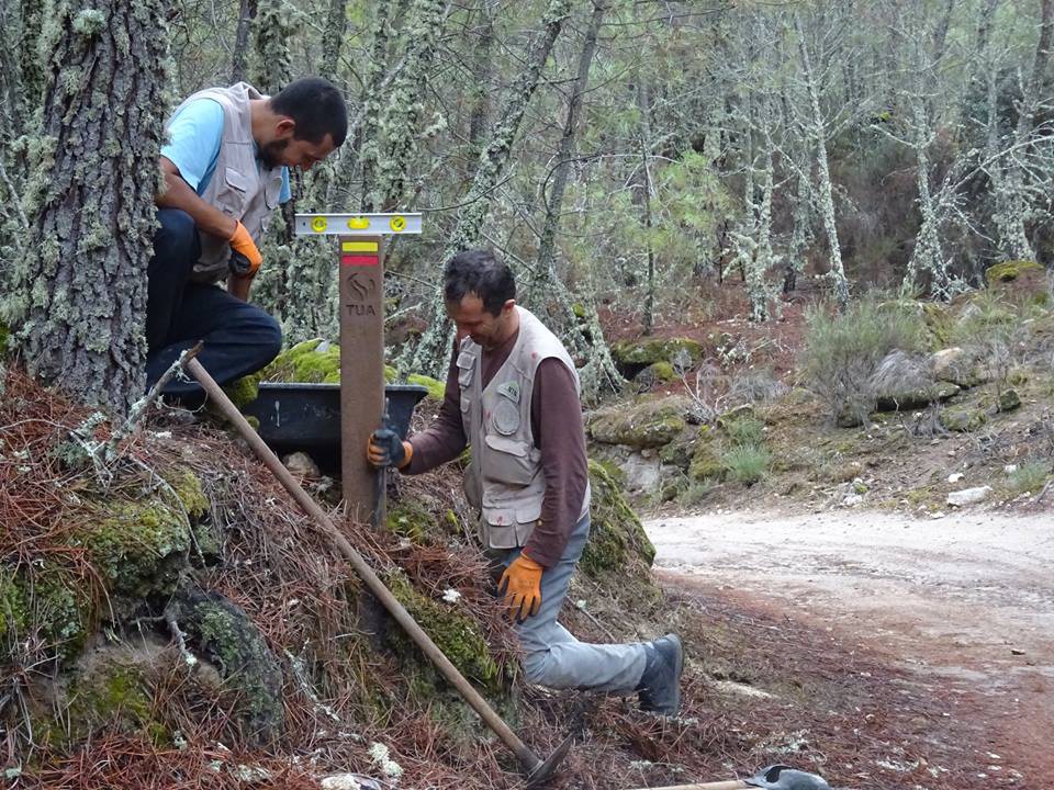 Parque do Tua vai testar reflorestação com método de combate à seca