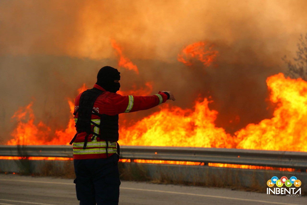 Dez milhões de euros para agricultores do distrito afetados pelos incêndios