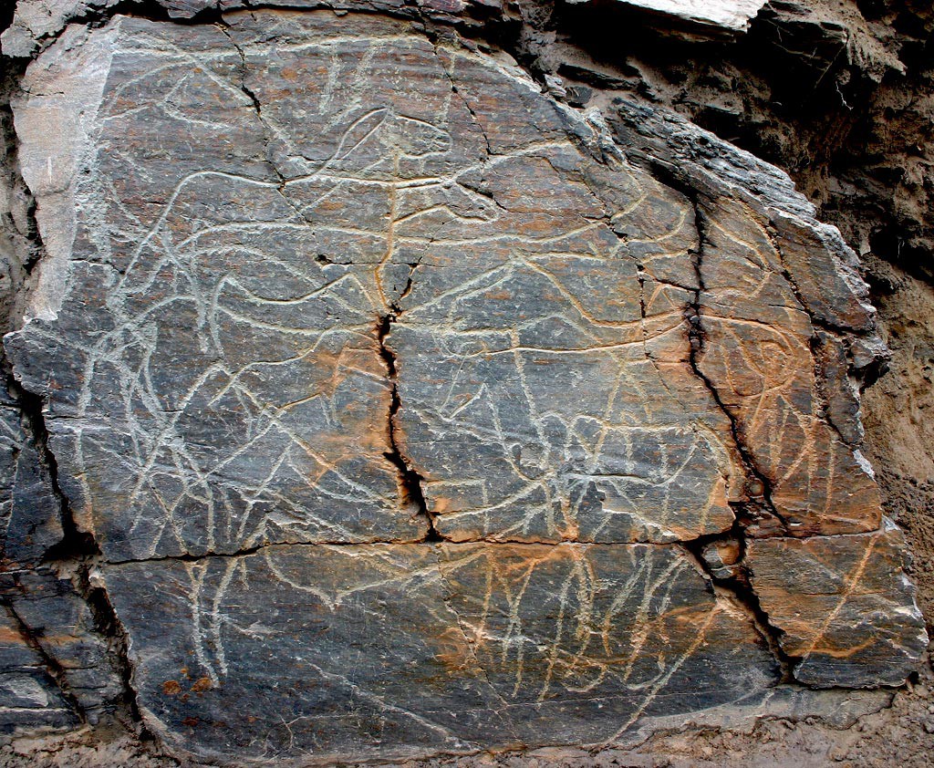  Parque Arqueológico do Côa quer valorizar património natural