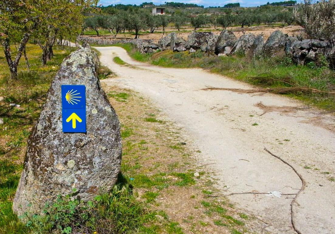 Mirandela e Valpaços na rede internacional do Caminho de Santiago