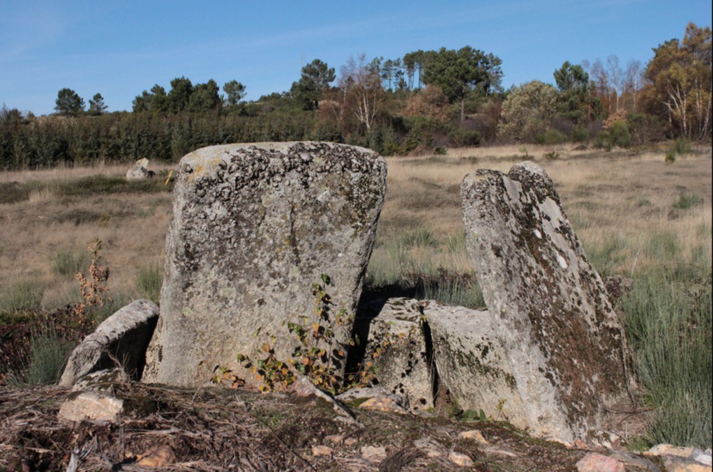 Descobertas pinturas antigas em Vila Pouca de Aguiar