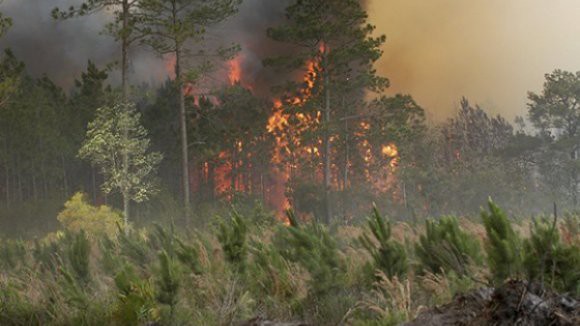 Fogo em Alijó obriga ao corte nos acessos da A4 à EN15