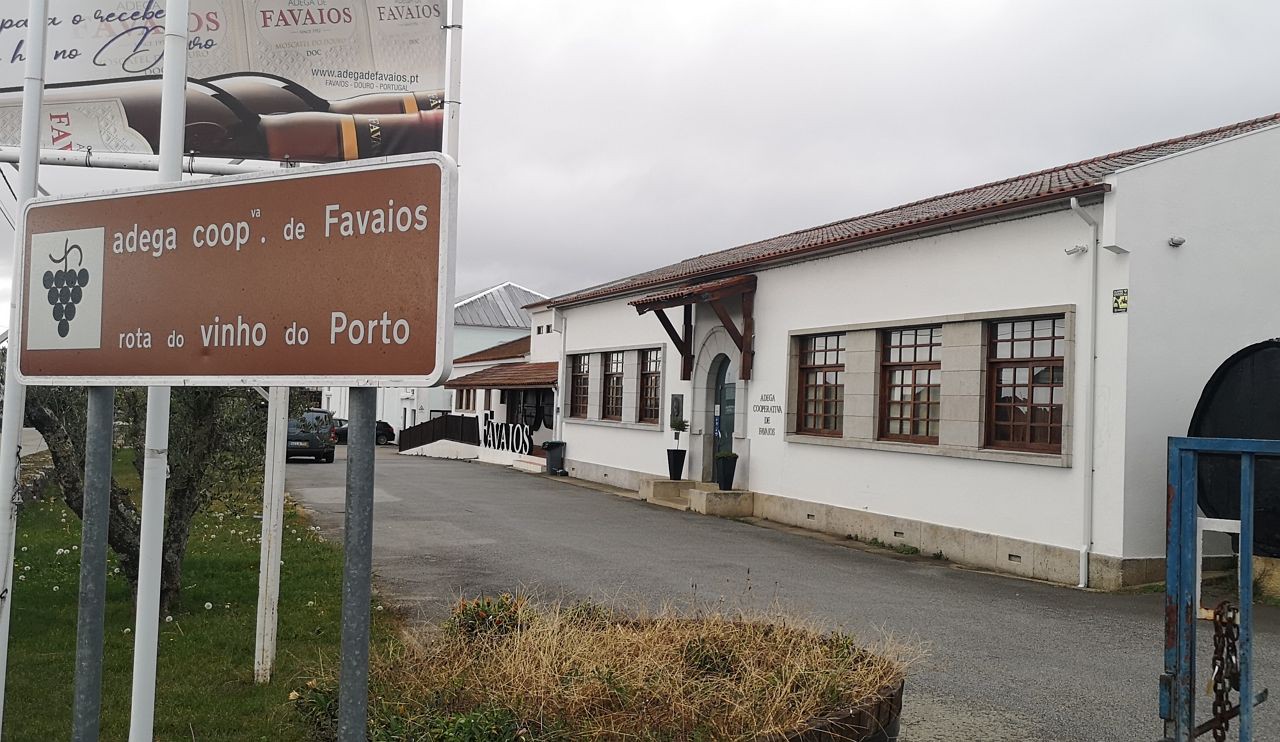 Adega de Favaios celebra 70 anos e anuncia investimentos de 1,2ME