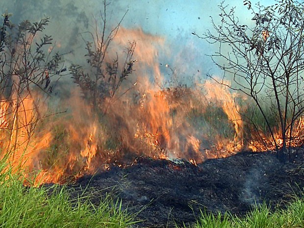 PSP reforça alerta durante período crítico de incêndios