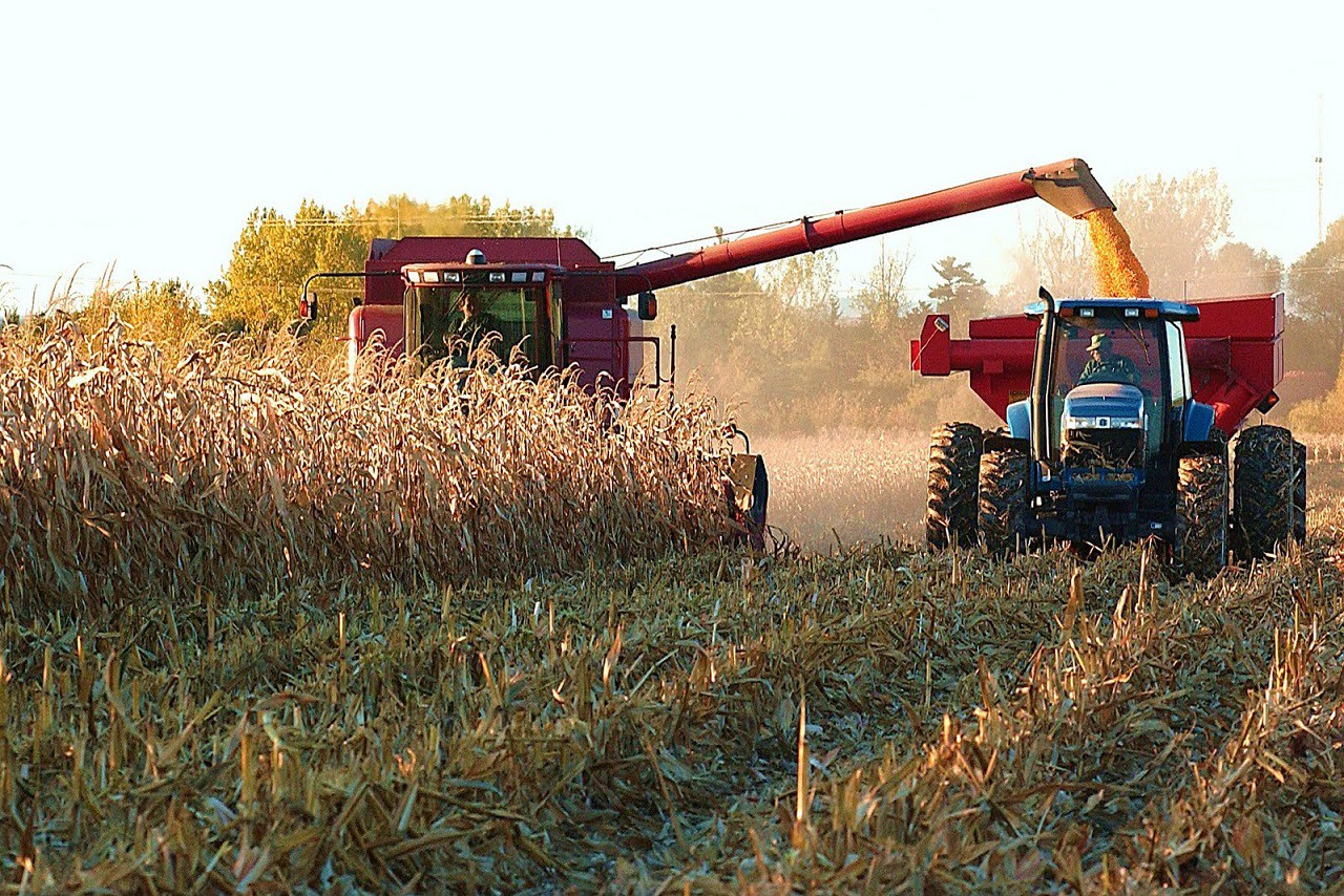 Feira Regional de Agricultura em Macedo de 19 a 21 de maio