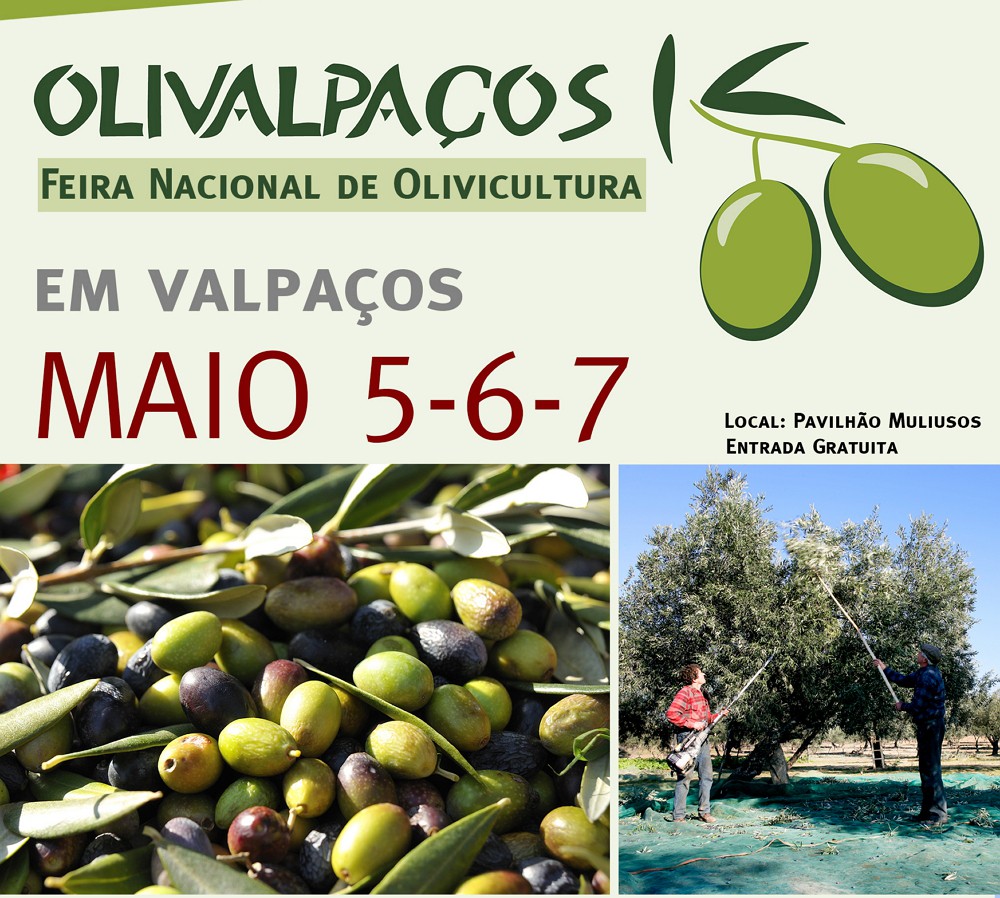 Feira Nacional de Olivicultura pela primeira vez em Valpaços