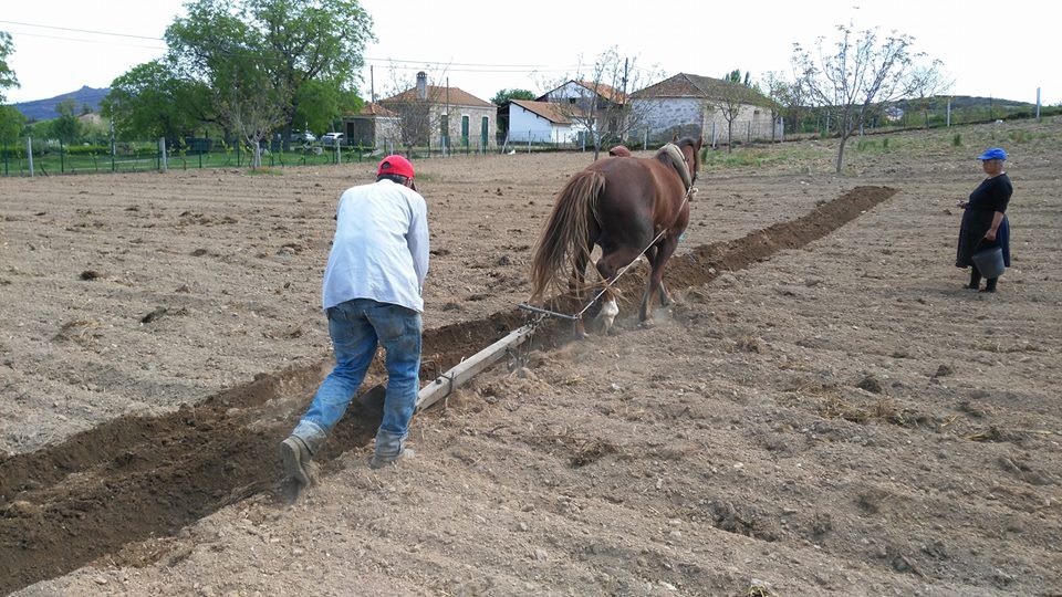 Governo vai criar estatuto do jovem empresário rural