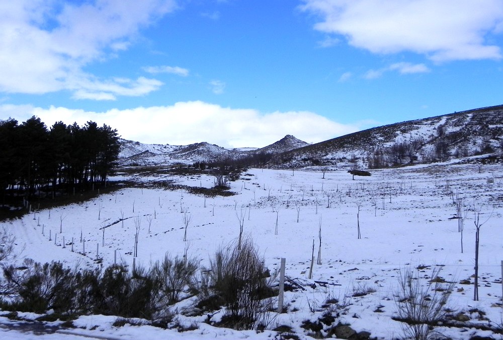 Falta de nevões em Montesinho mostra flutuações cíclicas do clima