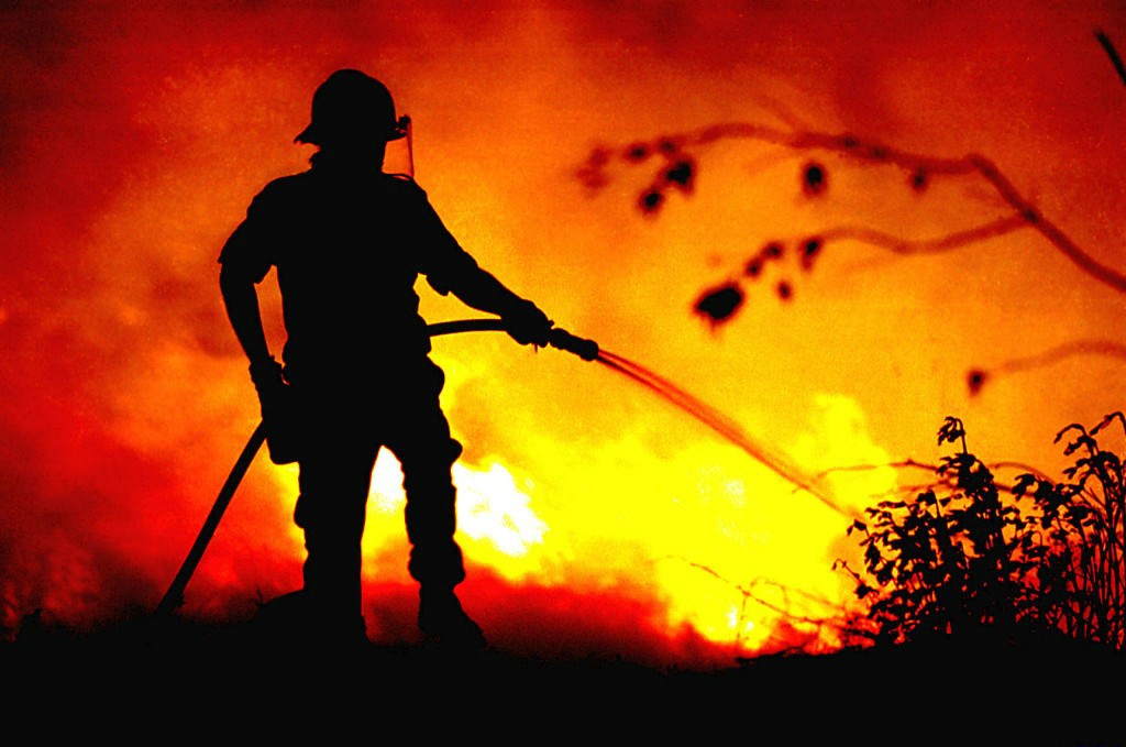 Mais de oitenta operacionais combatem incêndio florestal