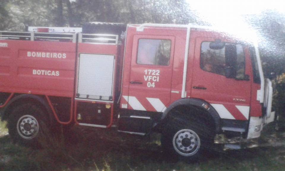 Um morto e um ferido atingidos por árvore de grande porte 