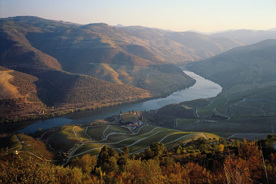 Alto Douro Vinhateiro assinala 15 anos de Património Mundial