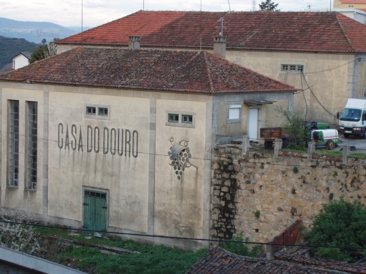 Casa do Douro retoma poderes e atribuições