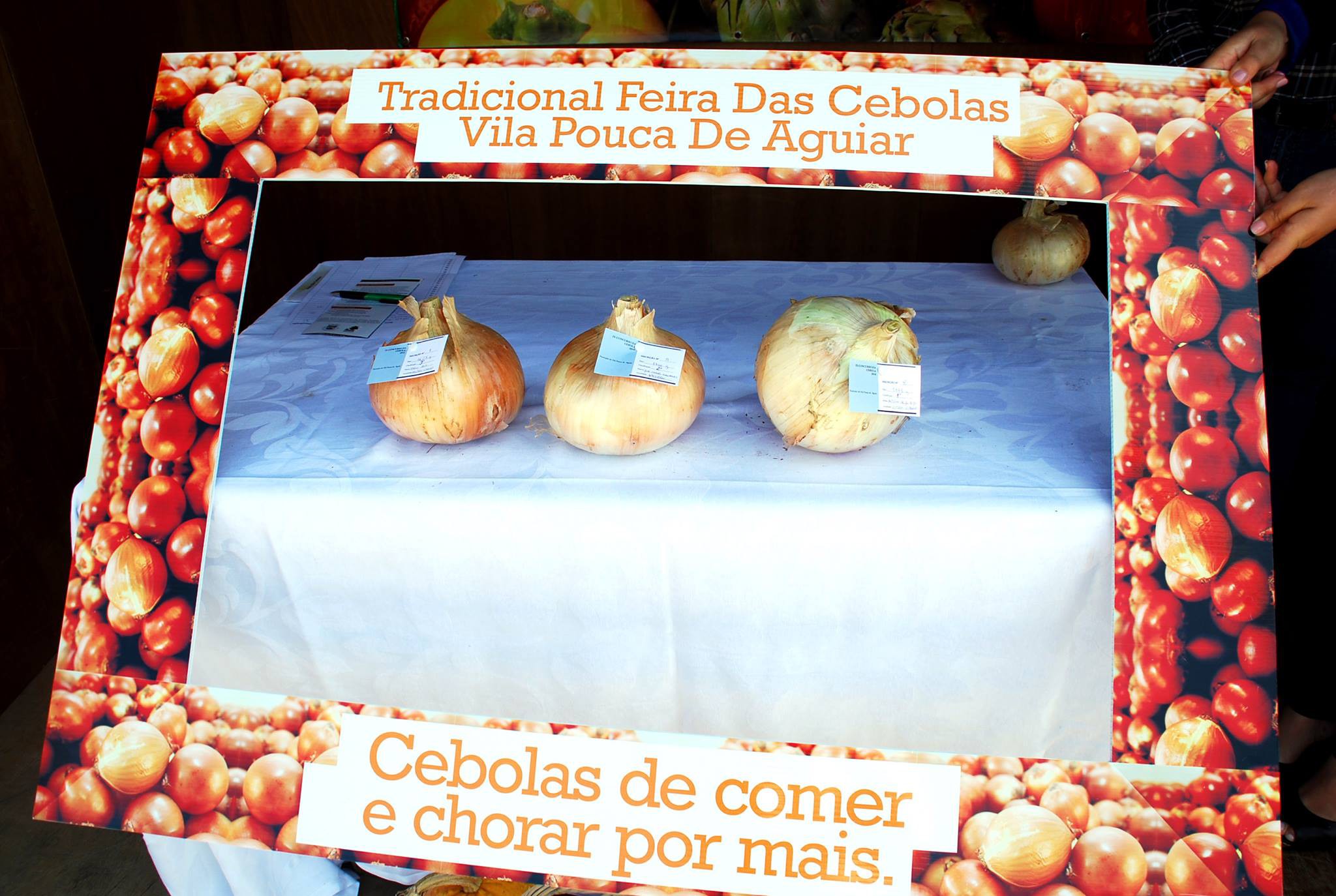 Vila Pouca de Aguiar põe à venda 20 toneladas de cebolas