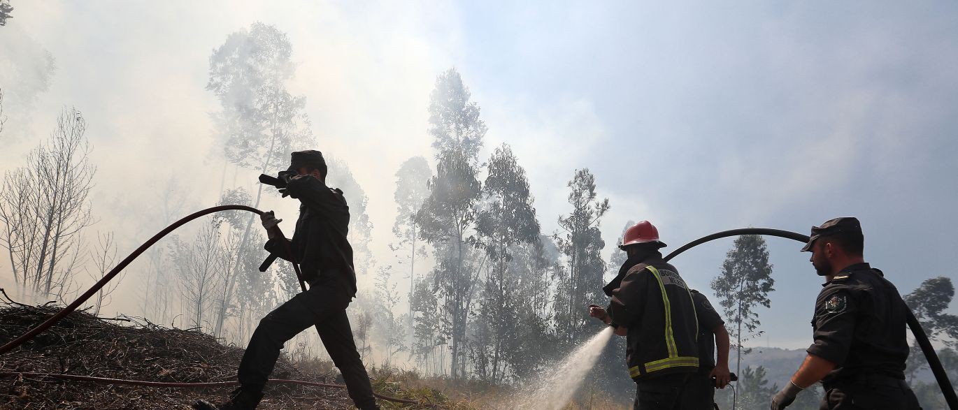 Mais de 50 operacionais combatem chamas em Cabril