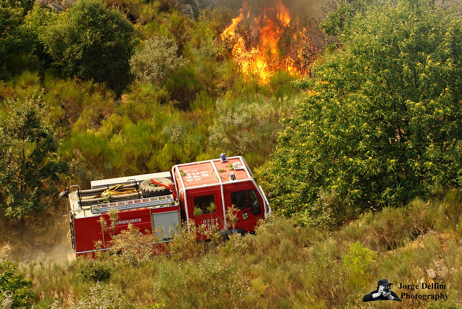 Mais de 100 operacionais combatem incêndio 