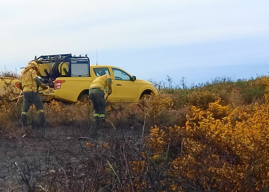 Sapadores Florestais fazem manutenção e limpeza na Serra do Reboredo