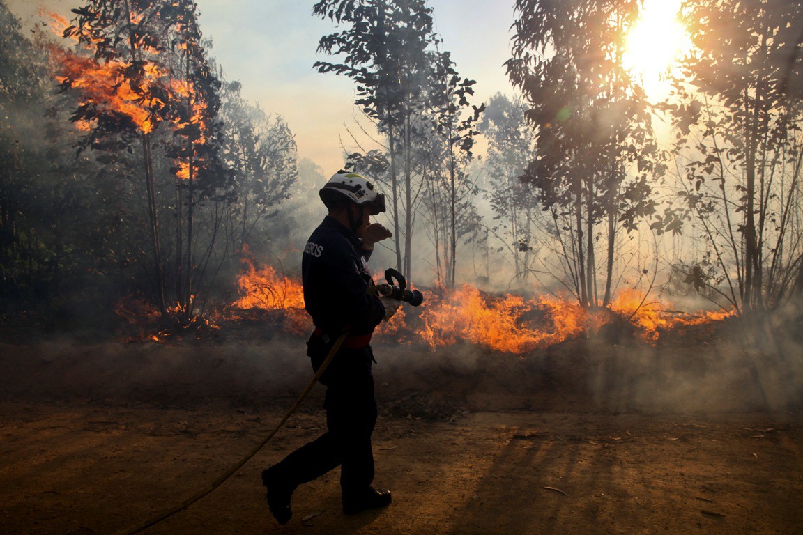 Incêndio em pinhal de Mateus já está dominado