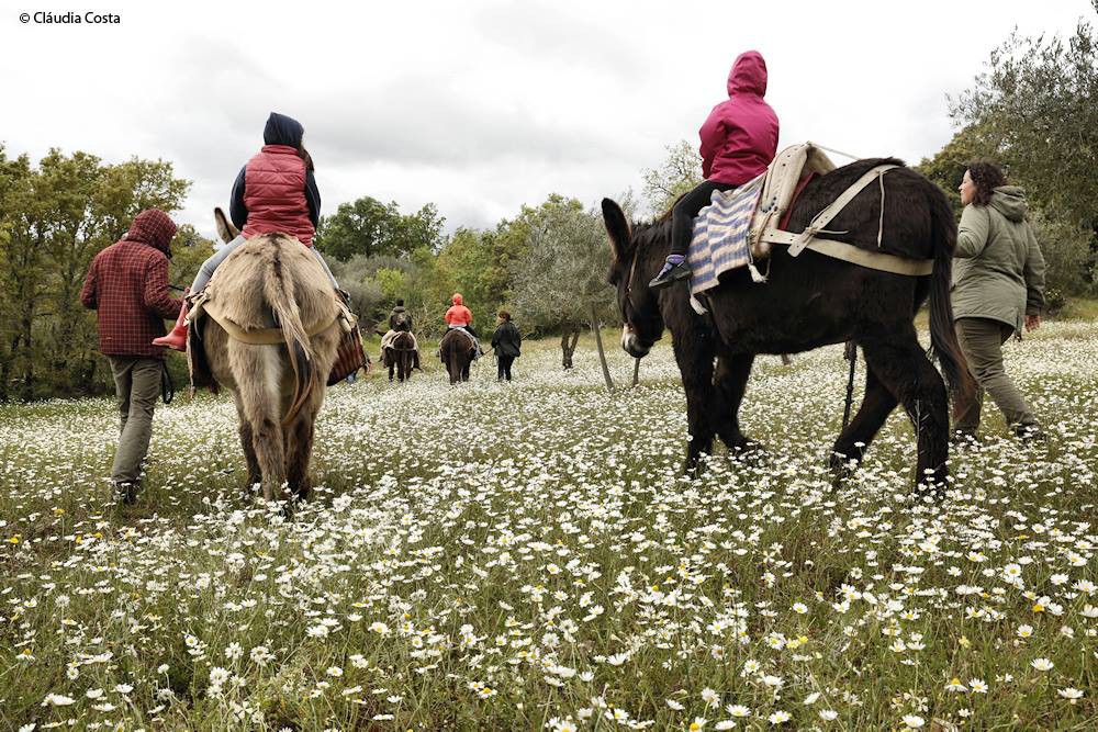 Festival “L Burro I L Gueiteiro” de 27 a 31 de Julho