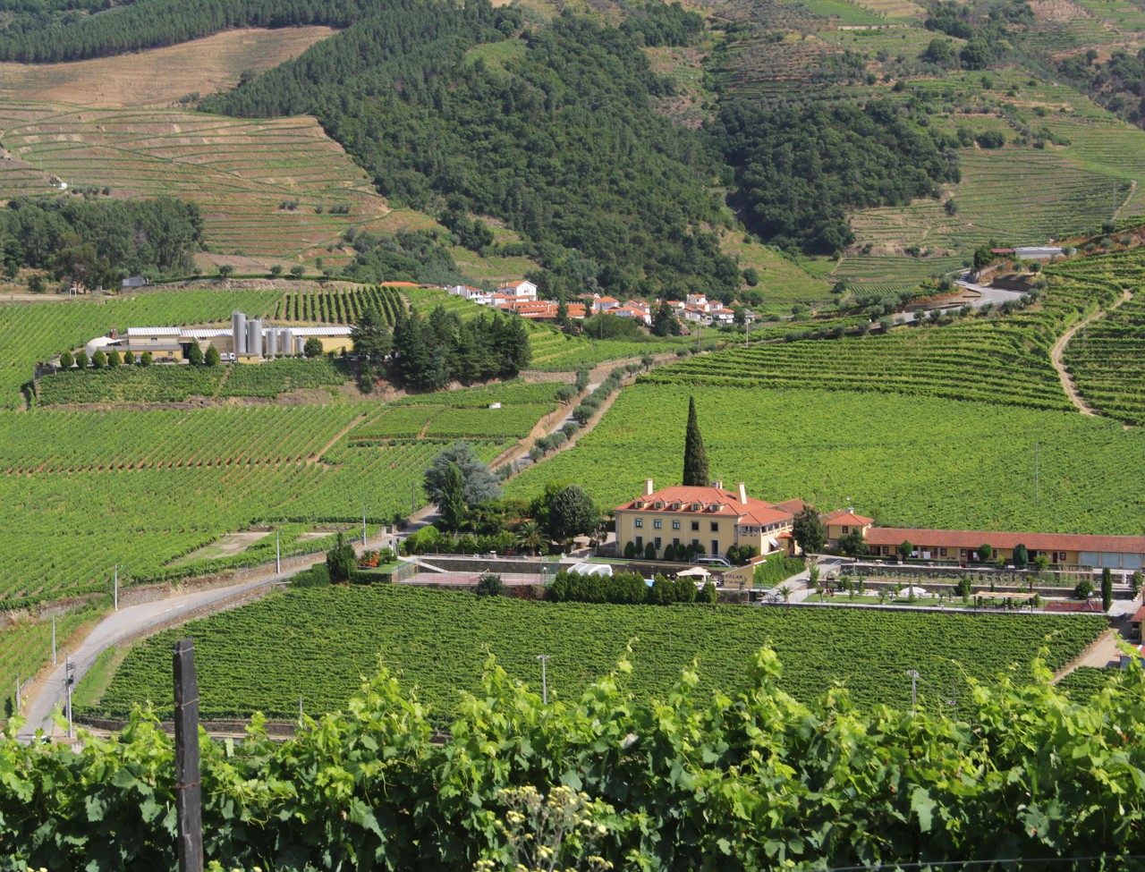 Douro prevê queda de 30% na produção