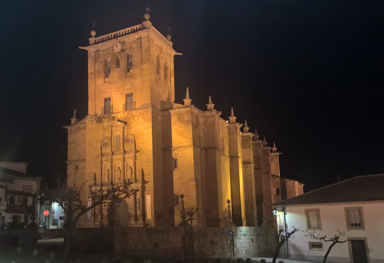 Órgão histórico da igreja salvo de «abandono e degradação»
