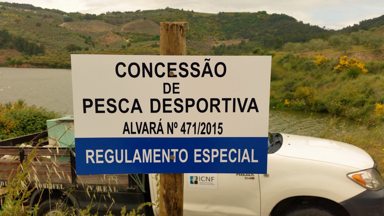 Duas mil trutas repovoam concelho de Vila Flor