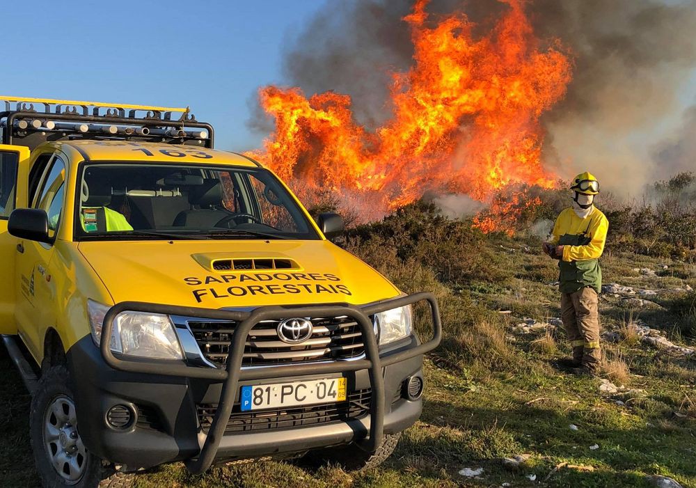 ICNF abre 3 vagas de Sapador Florestal para Vila Pouca de Aguiar