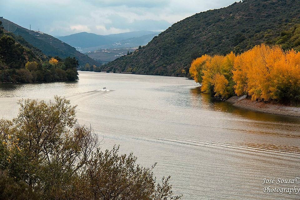 Alto Douro Vinhateiro Património Mundial há 14 anos