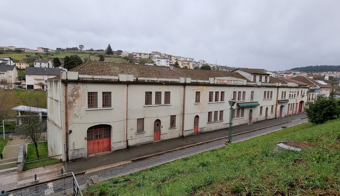 Empresário acredita em nova oportunidade para os cereais pobres da Terra Fria