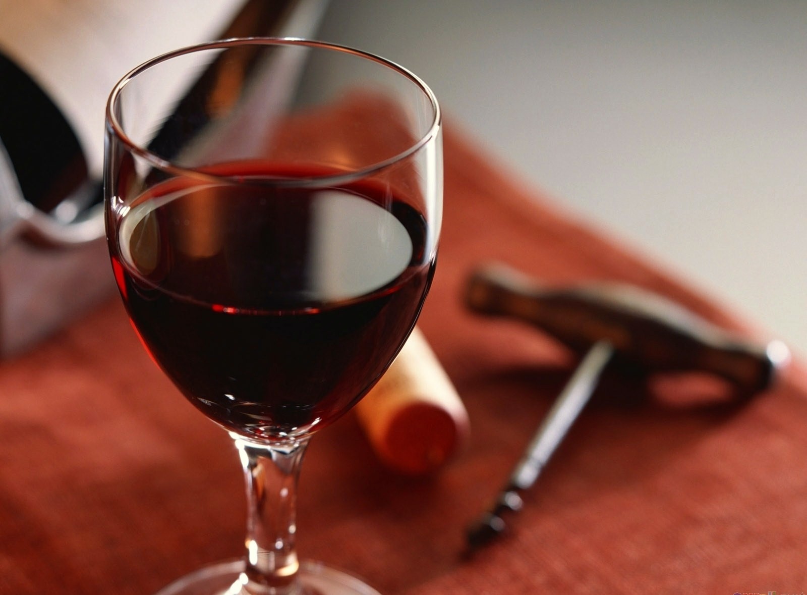 “Porca de Murça” entre os 100 melhores vinhos do mundo 