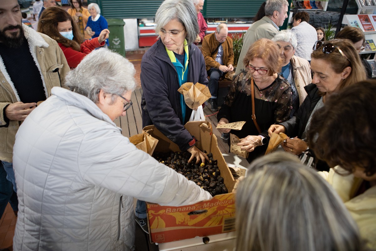 Feira da Castanha em Lisboa