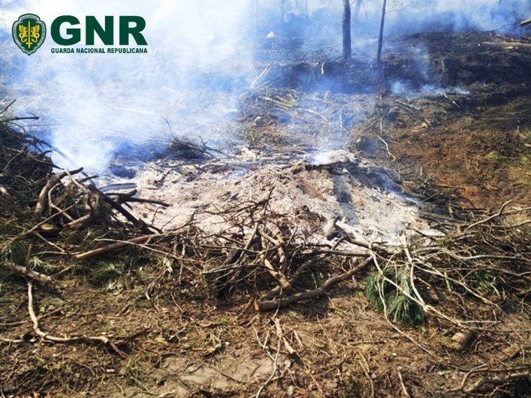 GNR deteve septuagenária suspeita de fogo florestal em Vila Real