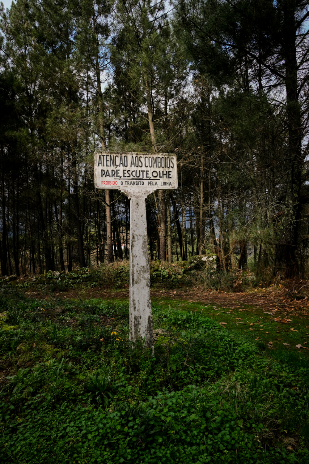 A transformação da Linha do Corgo
