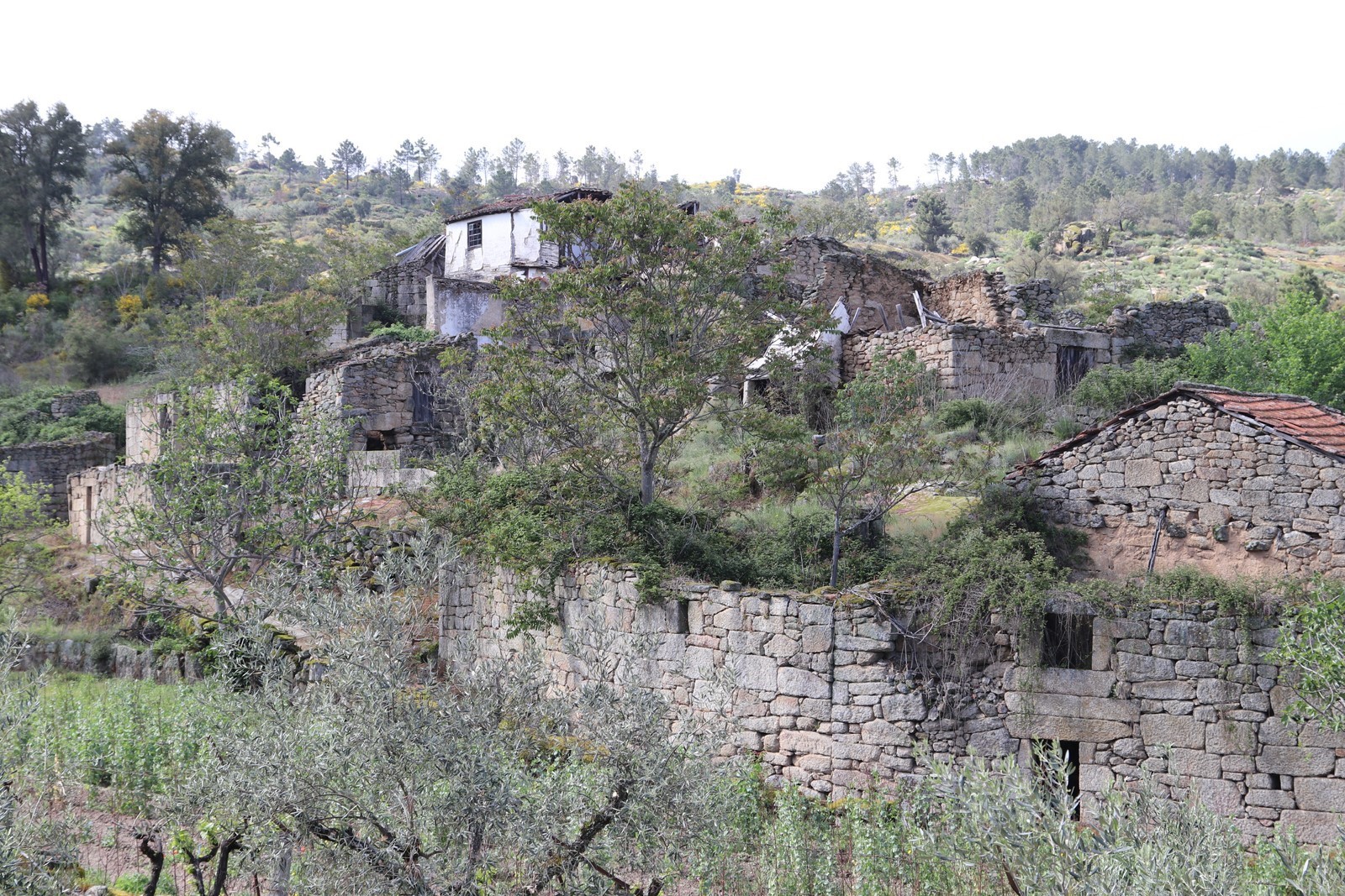 Cachão, uma aldeia abandonada!