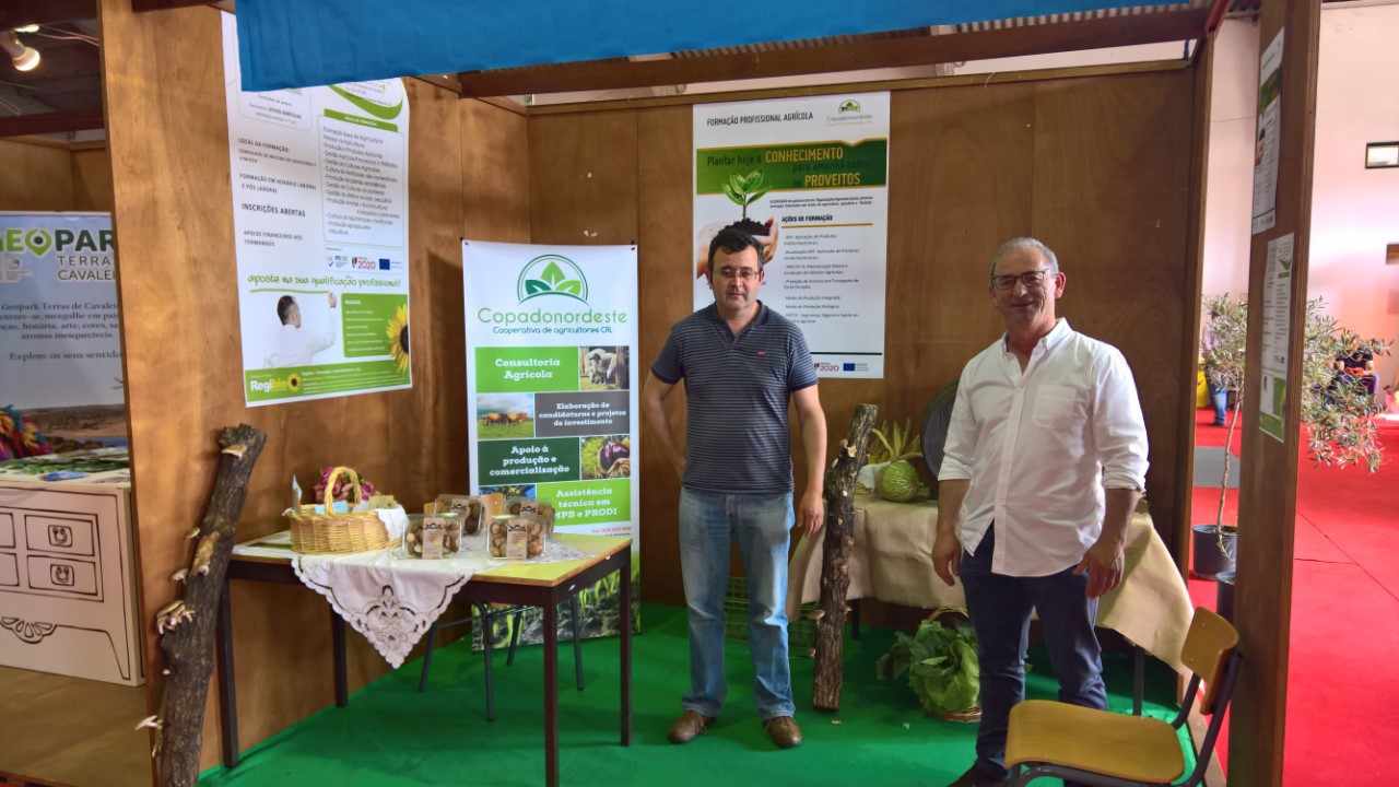 Macedo de Cavaleiros procura vencer a desertificação com o turismo  