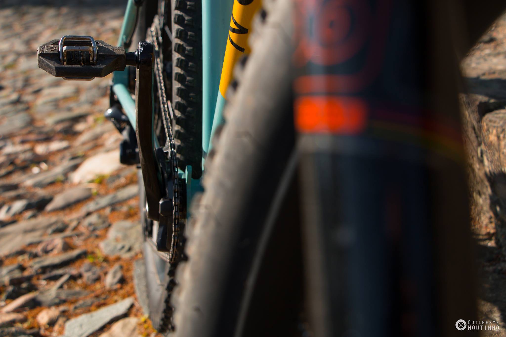 Nordest Cycles, a marca de bicicletas sem manutenção